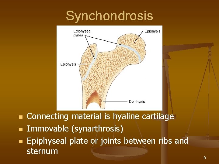 Synchondrosis n n n Connecting material is hyaline cartilage Immovable (synarthrosis) Epiphyseal plate or