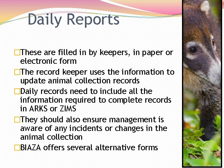 Daily Reports �These are filled in by keepers, in paper or electronic form �The
