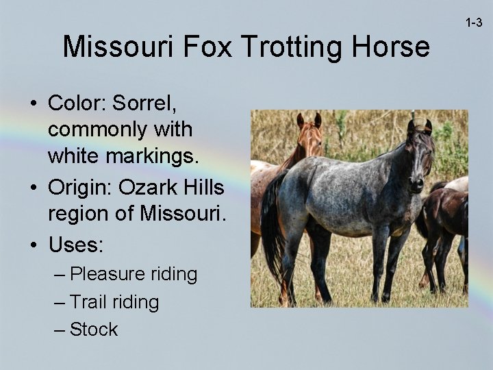 1 -3 Missouri Fox Trotting Horse • Color: Sorrel, commonly with white markings. •