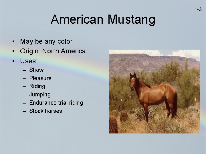 1 -3 American Mustang • May be any color • Origin: North America •