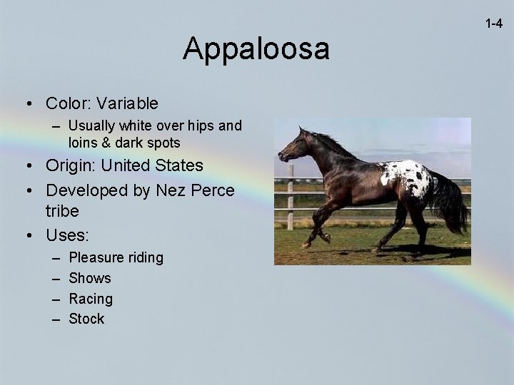 1 -4 Appaloosa • Color: Variable – Usually white over hips and loins &