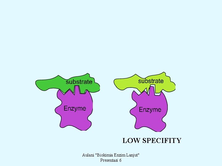 LOW SPECIFITY Aulani "Biokimia Enzim Lanjut" Presentasi 6 