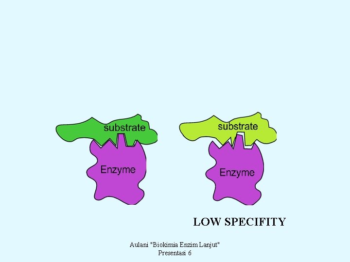 LOW SPECIFITY Aulani "Biokimia Enzim Lanjut" Presentasi 6 