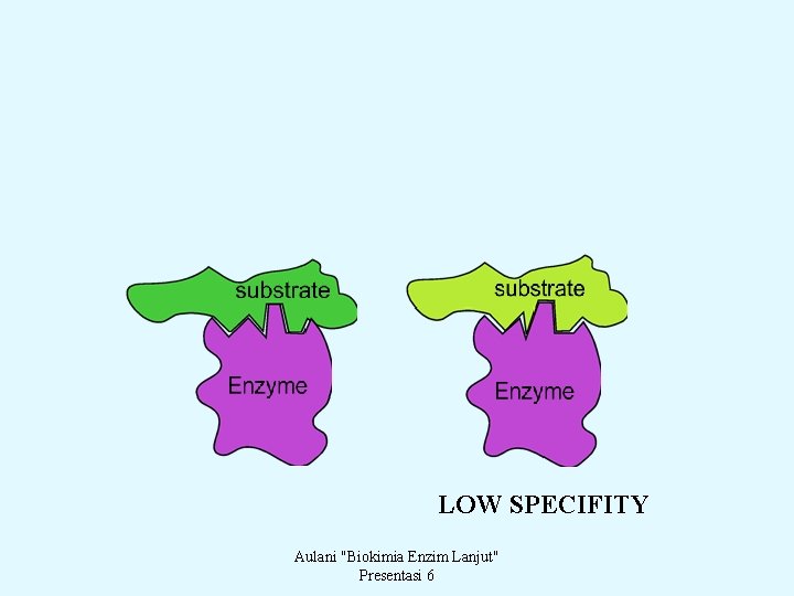 LOW SPECIFITY Aulani "Biokimia Enzim Lanjut" Presentasi 6 