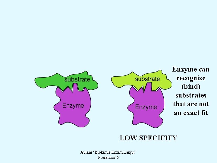 Enzyme can recognize (bind) substrates that are not an exact fit LOW SPECIFITY Aulani