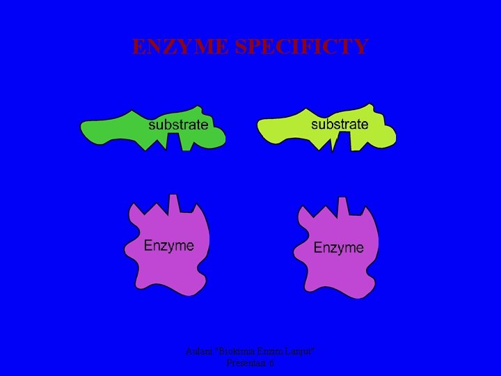 ENZYME SPECIFICTY Aulani "Biokimia Enzim Lanjut" Presentasi 6 