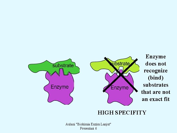 Enzyme does not recognize (bind) substrates that are not an exact fit HIGH SPECIFITY