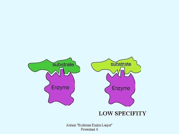 LOW SPECIFITY Aulani "Biokimia Enzim Lanjut" Presentasi 6 