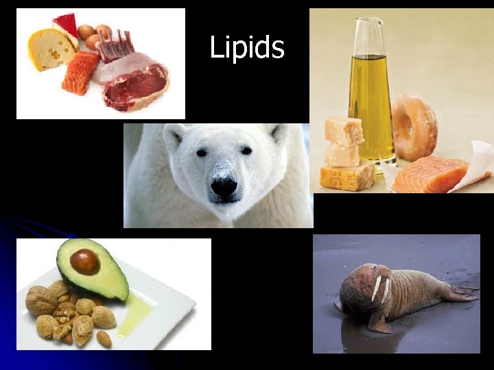 Lipids 