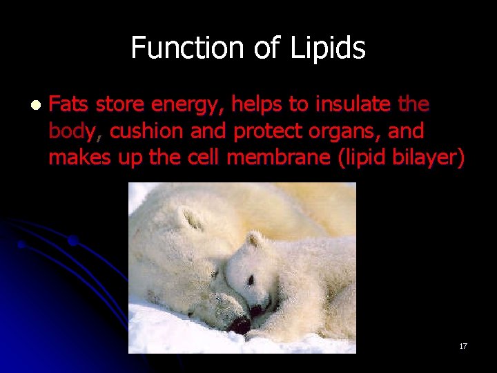 Function of Lipids l Fats store energy, helps to insulate the body, cushion and