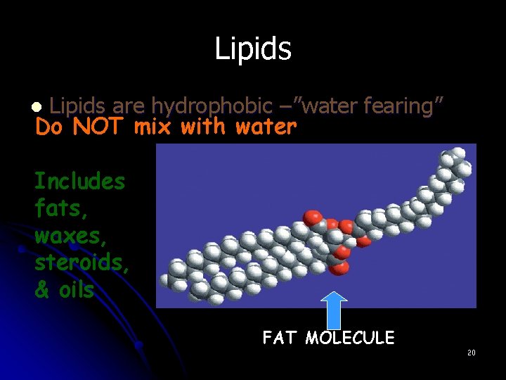 Biochemistry Carbohydrates Lipids Unit 3 Macromolecules l A