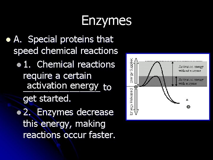 Enzymes l A. Special proteins that speed chemical reactions l 1. Chemical reactions require