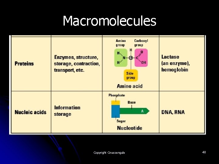 Biochemistry Carbohydrates Lipids Unit 3 Macromolecules l A