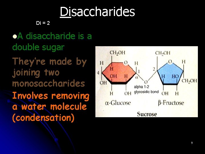 Disaccharides Di = 2 l. A disaccharide is a double sugar They’re made by