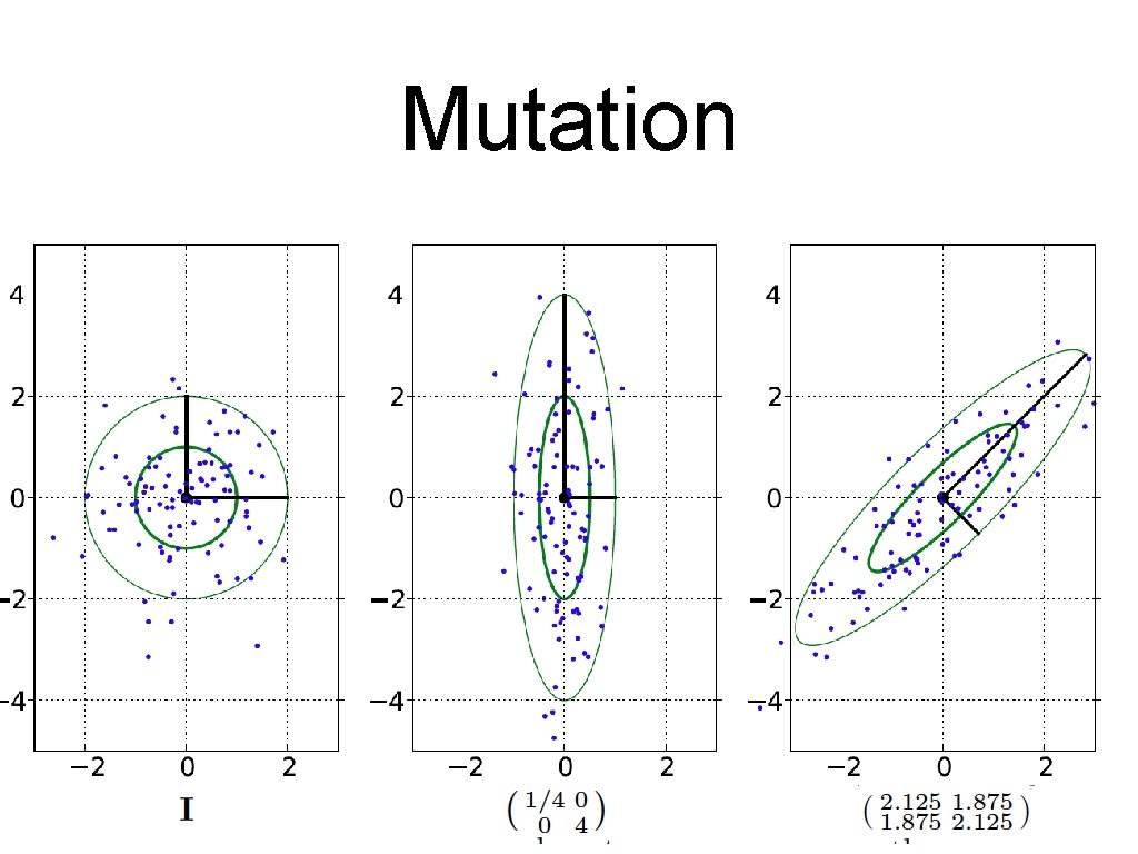 Mutation Mutation
