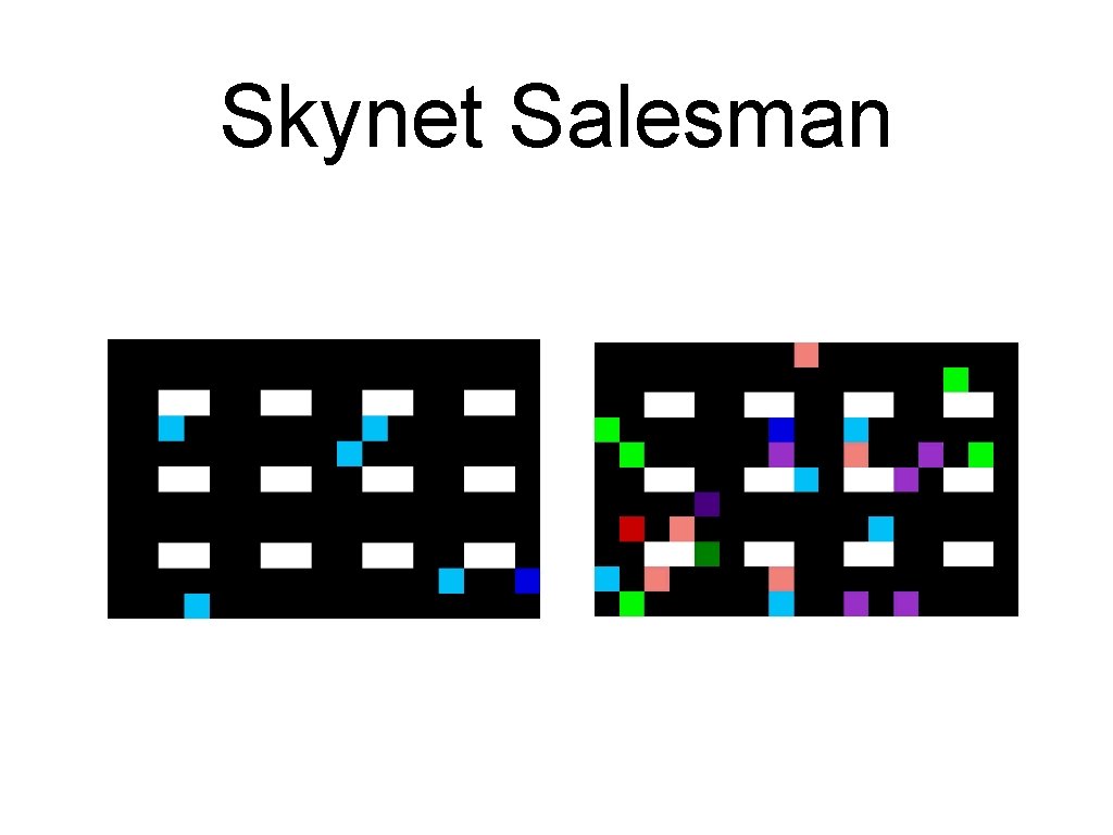 Skynet Salesman Skynet Salesman