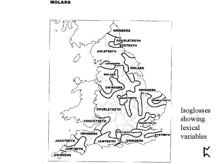 Isoglosses showing lexical variables 