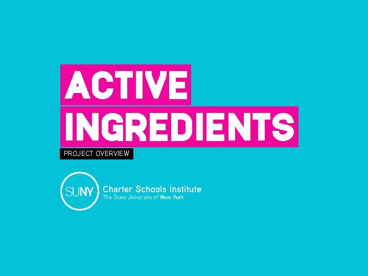 ACTIVE INGREDIENTS PROJECT OVERVIEW 