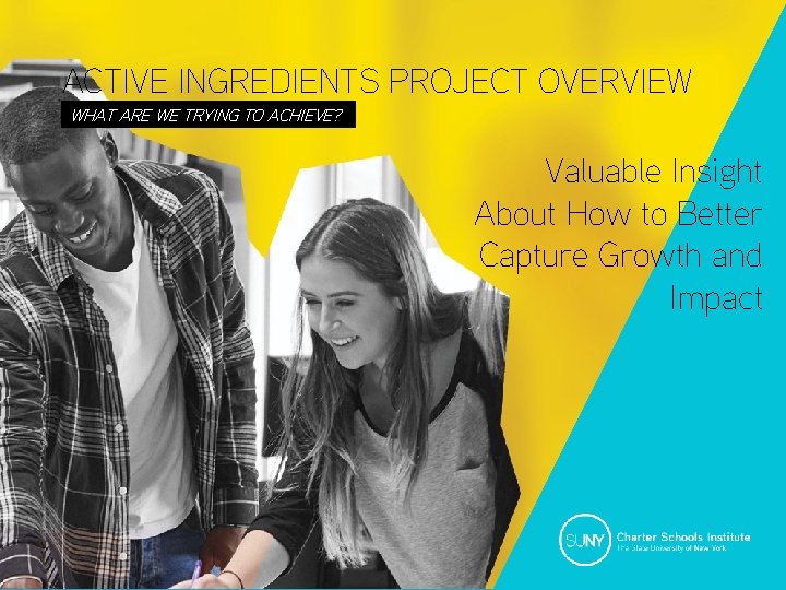 ACTIVE INGREDIENTS PROJECT OVERVIEW WHAT ARE WE TRYING TO ACHIEVE? Valuable Insight About How