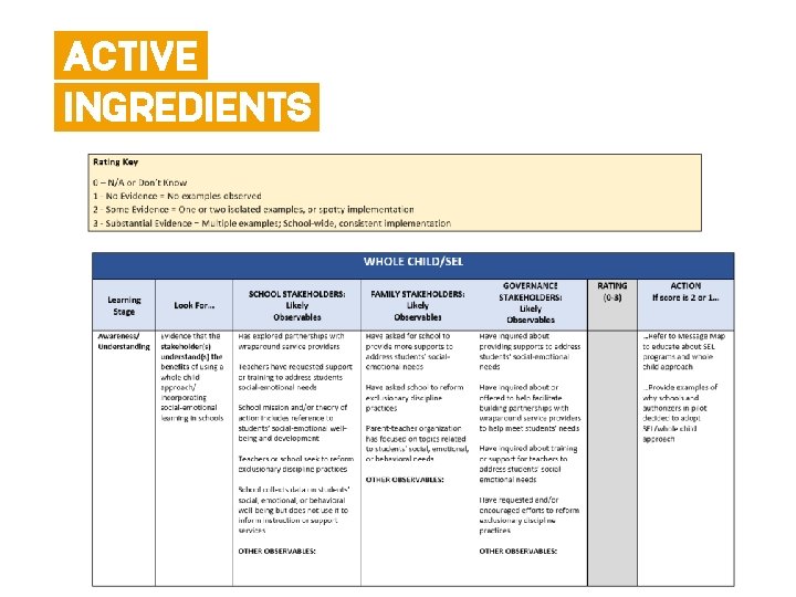 ACTIVE INGREDIENTS 