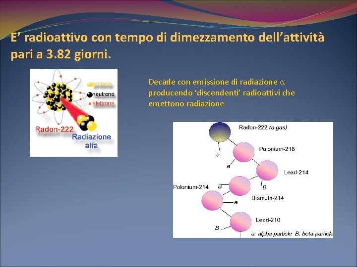 E’ radioattivo con tempo di dimezzamento dell’attività pari a 3. 82 giorni. Decade con