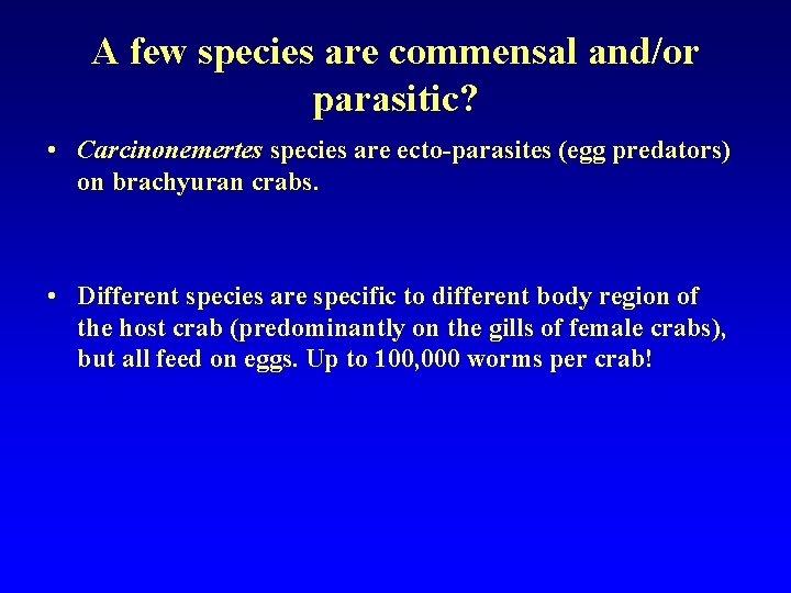 A few species are commensal and/or parasitic? • Carcinonemertes species are ecto-parasites (egg predators)