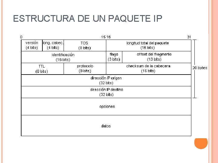 ESTRUCTURA DE UN PAQUETE IP 