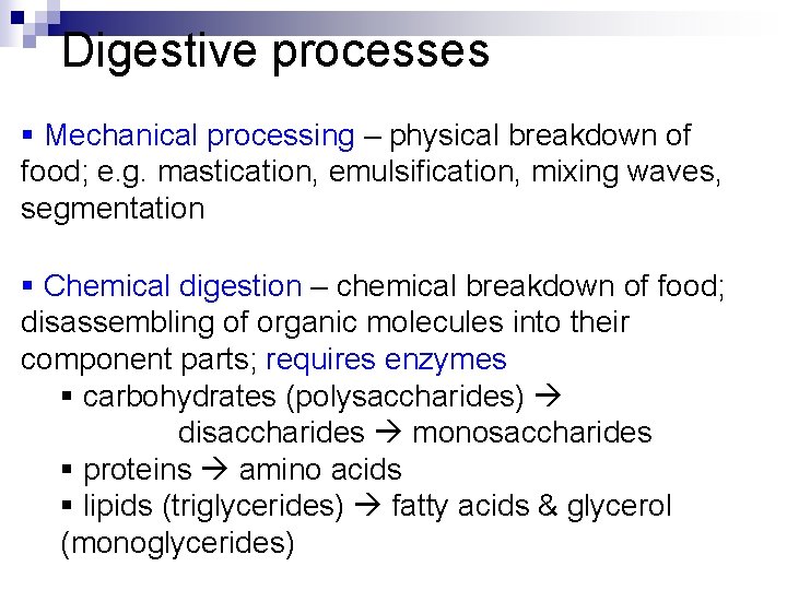 Digestive processes § Mechanical processing – physical breakdown of food; e. g. mastication, emulsification,