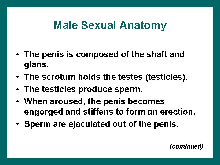 Male Sexual Anatomy • The penis is composed of the shaft and glans. •