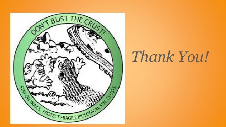 Thank You! Thank You!