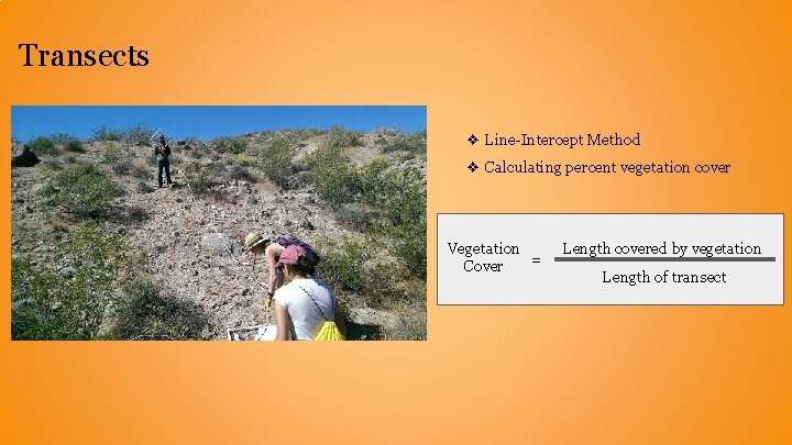 Transects ❖ Line-Intercept Method ❖ Calculating percent vegetation cover Vegetation = Cover Length covered Transects ❖ Line-Intercept Method ❖ Calculating percent vegetation cover Vegetation = Cover Length covered