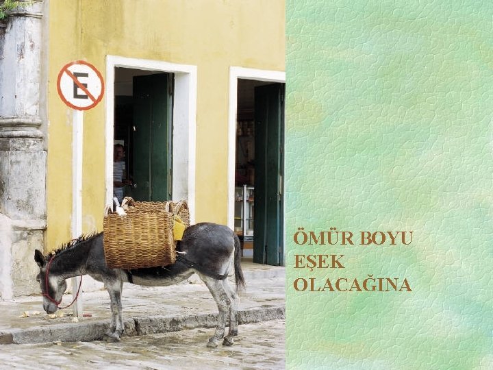 ÖMÜR BOYU EŞEK OLACAĞINA 