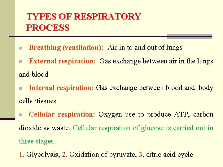 TYPES OF RESPIRATORY PROCESS n Breathing (ventilation): Air in to and out of lungs