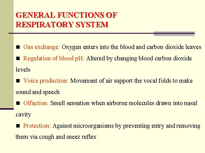 GENERAL FUNCTIONS OF RESPIRATORY SYSTEM n Gas exchange: Oxygen enters into the blood and