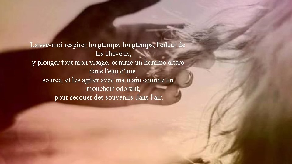 Laisse-moi respirer longtemps, l'odeur de tes cheveux, y plonger tout mon visage, comme un Laisse-moi respirer longtemps, l'odeur de tes cheveux, y plonger tout mon visage, comme un