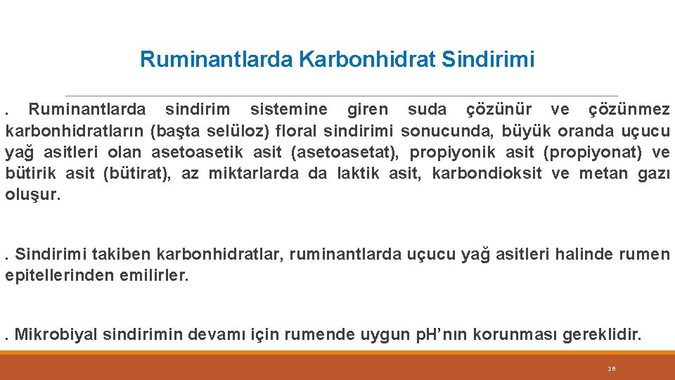 Ruminantlarda Karbonhidrat Sindirimi Ruminantlarda sindirim sistemine giren suda çözünür ve çözünmez karbonhidratların (başta selüloz)