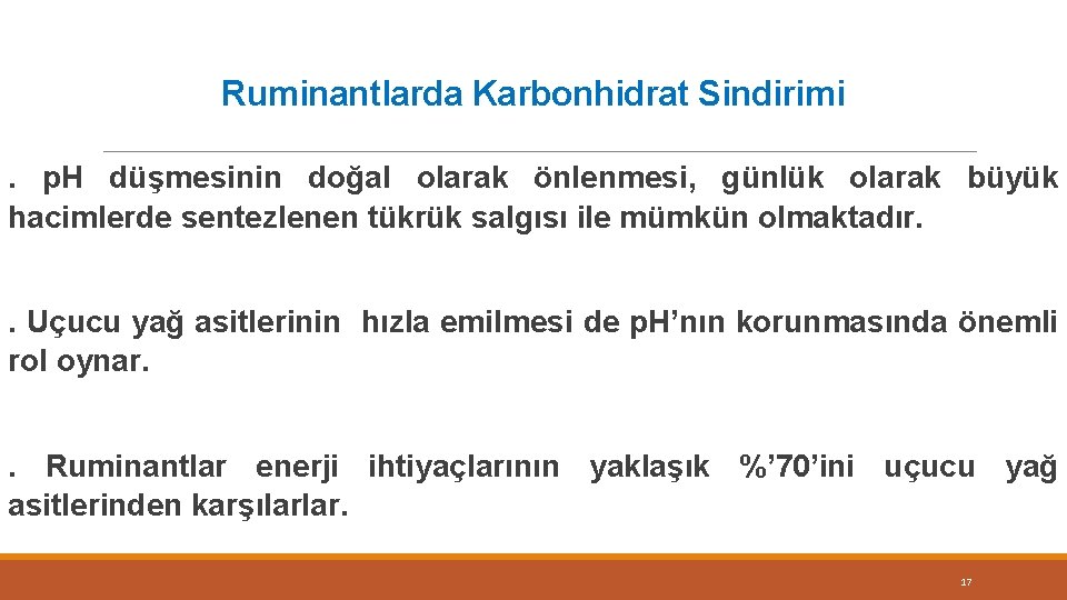 Ruminantlarda Karbonhidrat Sindirimi. p. H düşmesinin doğal olarak önlenmesi, günlük olarak büyük hacimlerde sentezlenen