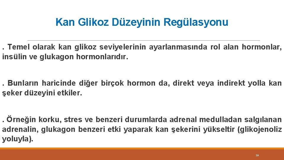 Kan Glikoz Düzeyinin Regülasyonu. Temel olarak kan glikoz seviyelerinin ayarlanmasında rol alan hormonlar, insülin