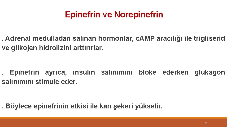 Epinefrin ve Norepinefrin. Adrenal medulladan salınan hormonlar, c. AMP aracılığı ile trigliserid ve glikojen