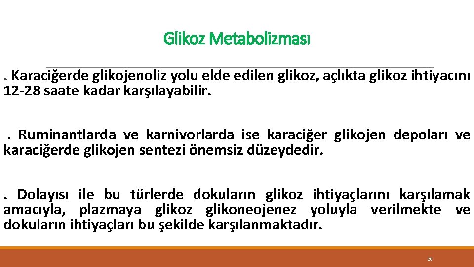 Glikoz Metabolizması. Karaciğerde glikojenoliz yolu elde edilen glikoz, açlıkta glikoz ihtiyacını 12 -28 saate