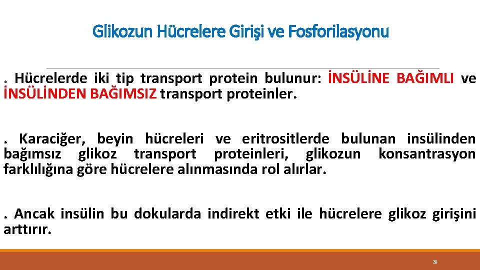 Glikozun Hücrelere Girişi ve Fosforilasyonu. Hücrelerde iki tip transport protein bulunur: İNSÜLİNE BAĞIMLI ve