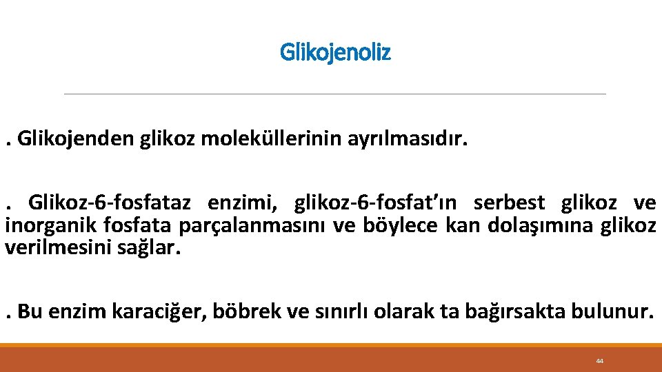 Glikojenoliz. Glikojenden glikoz moleküllerinin ayrılmasıdır. . Glikoz-6 -fosfataz enzimi, glikoz-6 -fosfat’ın serbest glikoz ve