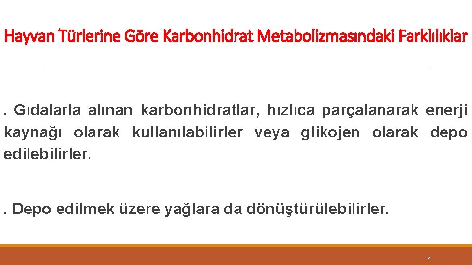 Hayvan Türlerine Göre Karbonhidrat Metabolizmasındaki Farklılıklar . Gıdalarla alınan karbonhidratlar, hızlıca parçalanarak enerji kaynağı