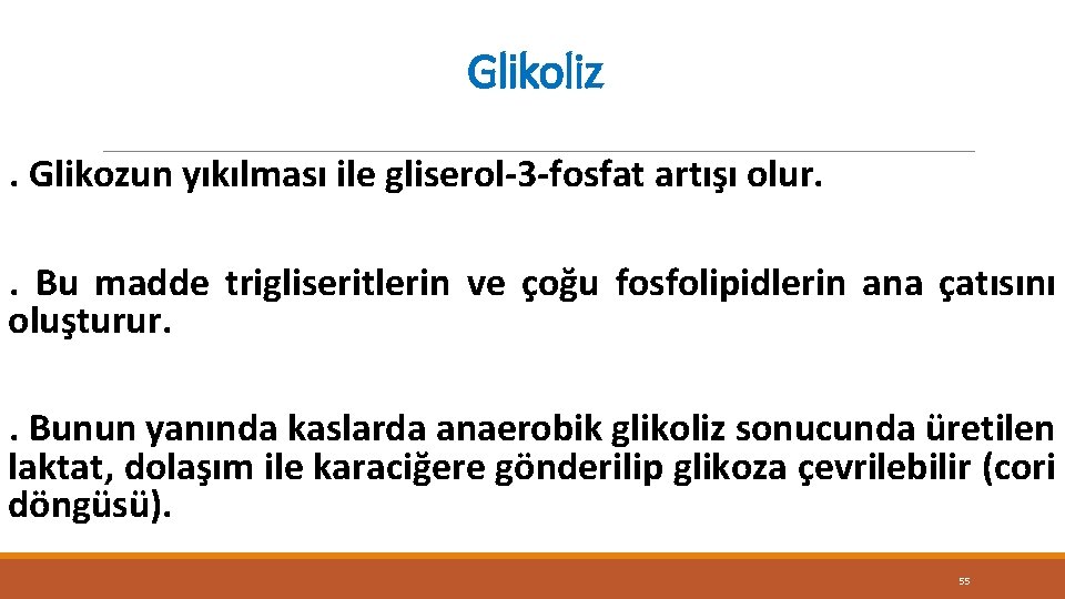 Glikoliz. Glikozun yıkılması ile gliserol-3 -fosfat artışı olur. . Bu madde trigliseritlerin ve çoğu