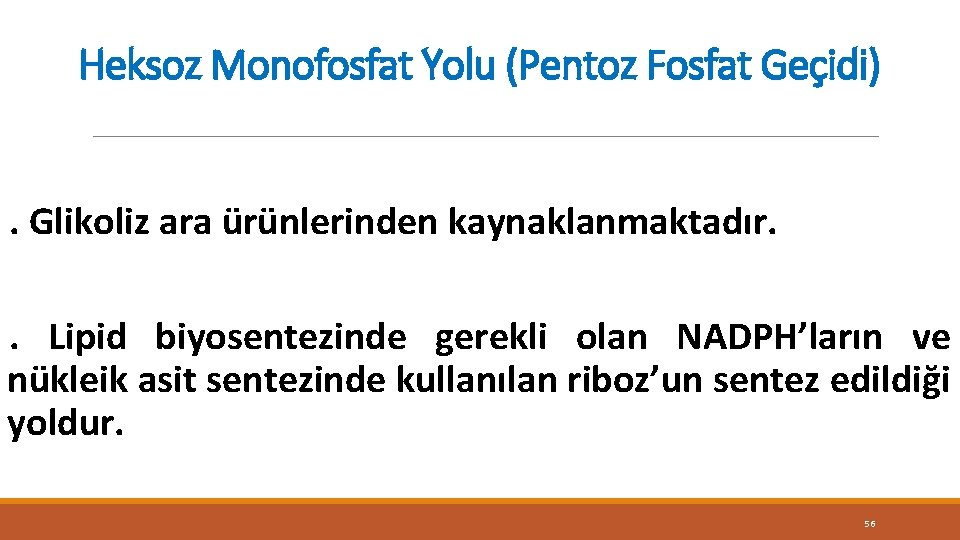 Heksoz Monofosfat Yolu (Pentoz Fosfat Geçidi). Glikoliz ara ürünlerinden kaynaklanmaktadır. . Lipid biyosentezinde gerekli