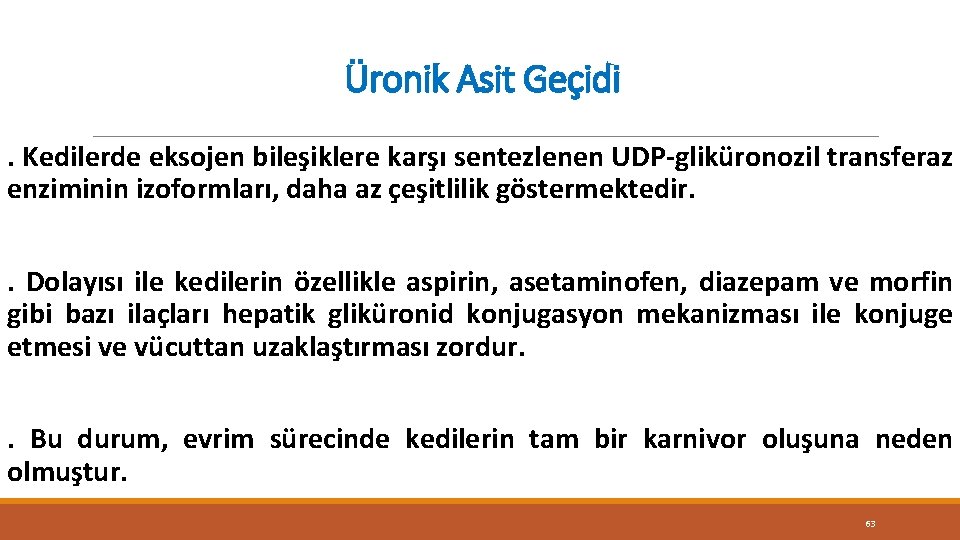 Üronik Asit Geçidi. Kedilerde eksojen bileşiklere karşı sentezlenen UDP-gliküronozil transferaz enziminin izoformları, daha az