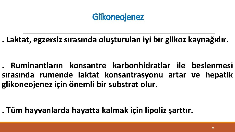 Glikoneojenez. Laktat, egzersiz sırasında oluşturulan iyi bir glikoz kaynağıdır. . Ruminantların konsantre karbonhidratlar ile