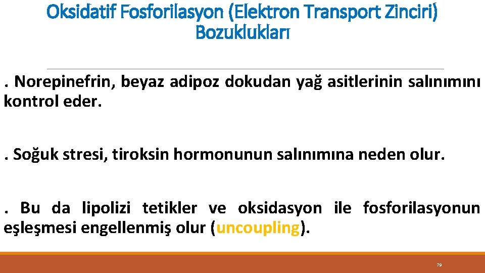 Oksidatif Fosforilasyon (Elektron Transport Zinciri) Bozuklukları. Norepinefrin, beyaz adipoz dokudan yağ asitlerinin salınımını kontrol