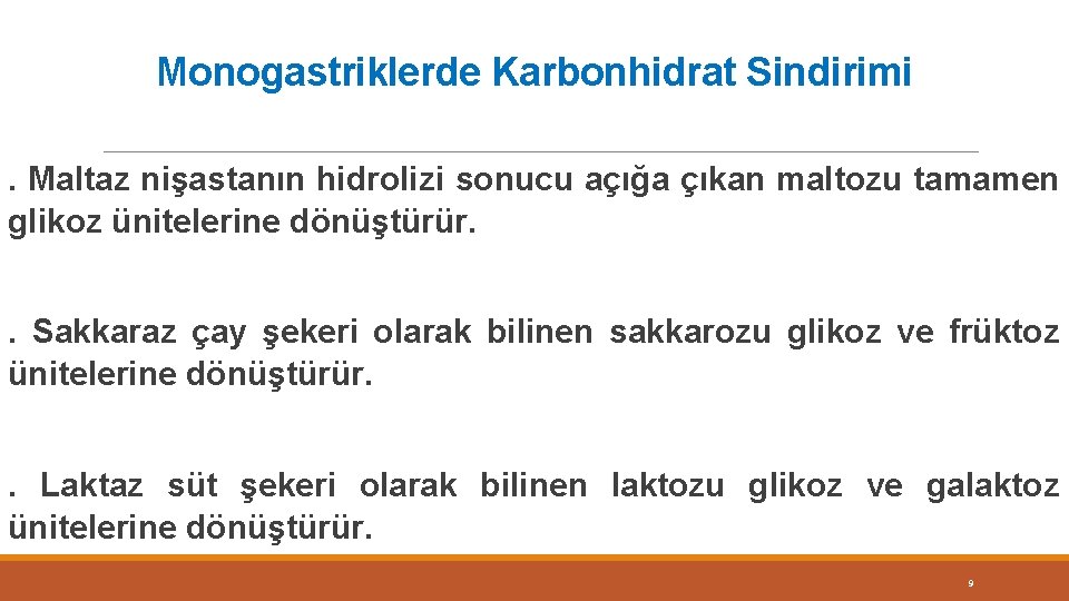 Monogastriklerde Karbonhidrat Sindirimi. Maltaz nişastanın hidrolizi sonucu açığa çıkan maltozu tamamen glikoz ünitelerine dönüştürür.