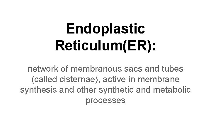 Endoplastic Reticulum(ER): network of membranous sacs and tubes (called cisternae), active in membrane synthesis